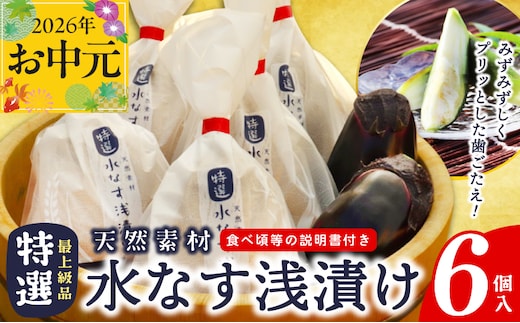 【お中元対応】 「特選最上級品」天然素材水なす浅漬け6個入 099H4579t