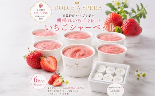 朝採れいちごのシャーベット6個 ー泉佐野・いちごラボより,果実そのままにー 099H4585