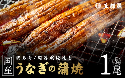【訳あり】老舗「五郎藤」関西風地焼き 国産有頭旨鰻 170g前後×1尾 うなぎ ウナギ 蒲焼き 炭火 099H5075