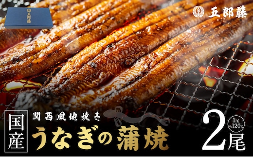 【贈答用】五郎藤 関西風地焼き 国産有頭旨鰻 120g×2尾 計約240g うなぎ ウナギ 蒲焼き 炭火 099H5078
