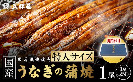 【贈答用】五郎藤 関西風地焼き 国産有頭旨鰻 250g×1尾 計約250g 特大 うなぎ ウナギ 蒲焼き 炭火 099H5080