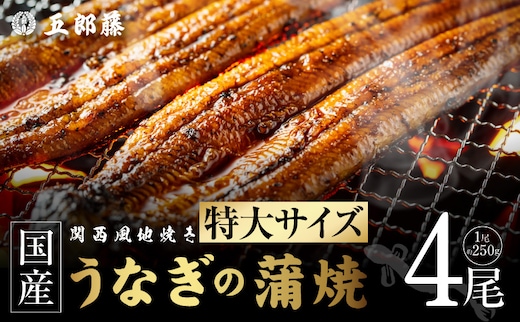 国産有頭旨鰻 250g×4尾 特大サイズ【関西風地焼き 老舗 五郎藤 うなぎ 1kg 小分け unagi ひつまぶし 簡単調理】 099H5088