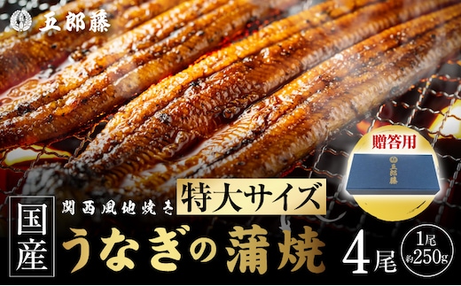 【贈答用】国産有頭旨鰻 250g×4尾 特大サイズ【関西風地焼き 老舗 五郎藤 うなぎ 1kg 小分け unagi ひつまぶし 簡単調理】 099H5089