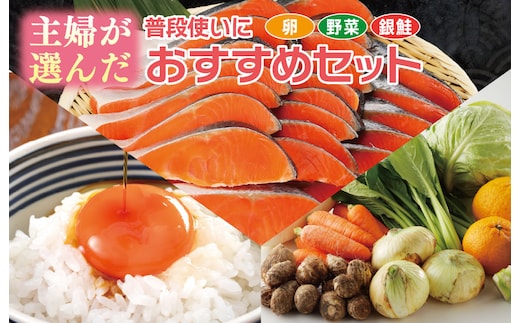 主婦が選んだ 普段使いにおすすめセット（銀鮭 切り身 たまご 野菜）【別送】 099S015