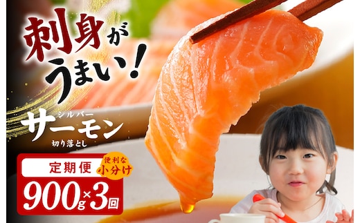 サーモン 切り落とし 定期便 900g×全3回【毎月配送 便利な小分け 300g×3P 訳あり サイズ不揃い 小分け 海鮮丼 人気 オススメ 小分け 冷凍 簡単調理 一人暮らし 東洋冷蔵】 099Z154
