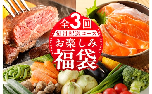 泉佐野お楽しみ福袋 定期便 全3回 牛肉 ステーキ 海鮮 サーモン 野菜【毎月発送コース】 099Z158