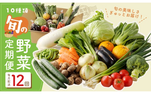 10種類の新鮮野菜 定期便 全12回 詰め合わせ 国産 年間【毎月配送コース】 099Z187