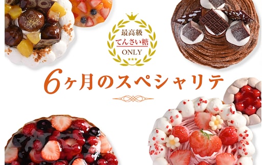 6ヶ月のスペシャリテ 定期便 合計6回【2ヶ月に１回配送 洋菓子 スイーツ おやつ てんさい糖 冷凍】 099Z192