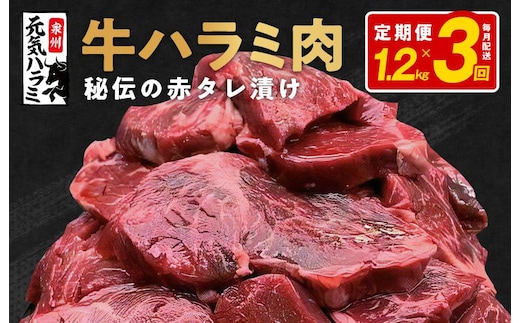 牛ハラミ 定期便 1.2kg 全3回【毎月配送コース 小分け 300g×4 味付き 牛肉 焼くだけ 小分け BBQ やきにく 数量限定】 099Z380