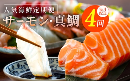 人気海鮮定期便 サーモン／真鯛 食べ比べ 全4回【毎月配送コース 小分け 訳あり サイズ不揃い 刺身 海鮮丼 人気 オススメ 冷凍】】 nbj0005