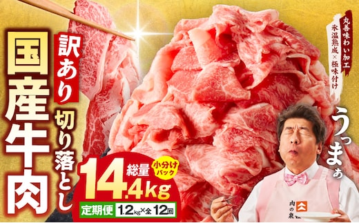 【定期便】国産 牛肉 切り落とし 定期便 1.2kg×全12回 総量 14.4kg【国産 牛肉 氷温熟成×極味付け 訳あり サイズ不揃い カレー 牛丼 野菜炒め 肉じゃが 家計応援 毎月配送コース】 mrzZ007