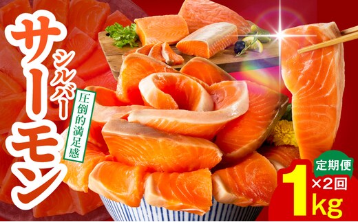 サーモン 定期便 1kg×全2回【ポーション 訳あり サイズ不揃い 刺身 海鮮丼 さーもん サラダ カルパッチョ 鮭 さけ シャケ しゃけ 人気 小分け 冷凍 家計応援】 099Z345