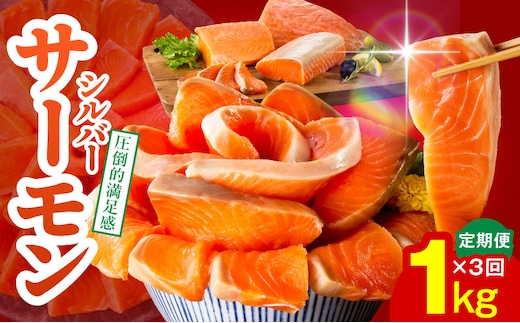 サーモン 定期便 1kg×全3回【ポーション 訳あり サイズ不揃い 刺身 海鮮丼 さーもん サラダ カルパッチョ 鮭 さけ シャケ しゃけ 人気 小分け 冷凍 家計応援】 099Z346