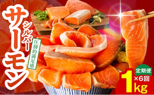 サーモン 定期便 1kg×全6回【ポーション 訳あり サイズ不揃い 刺身 海鮮丼 さーもん サラダ カルパッチョ 鮭 さけ シャケ しゃけ 人気 小分け 冷凍 家計応援】 099Z347