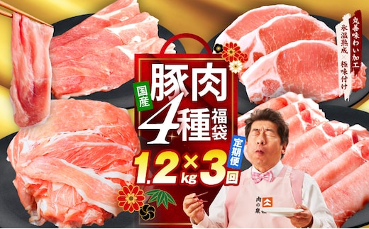 【定期便】国産 豚肉 4種 総量 1.2kg×3回【氷温熟成×極味付け 300g×4P 小分け ぶたにく 普段使い 野菜炒め】 mrzZ001
