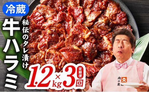 【冷蔵配送】牛ハラミ肉 1.2kg×全3回【毎月配送コース お楽しみ 焼肉 ていきびん 小分け 味付け 焼くだけ 小分け BBQ やきにく 数量限定】 099Z381