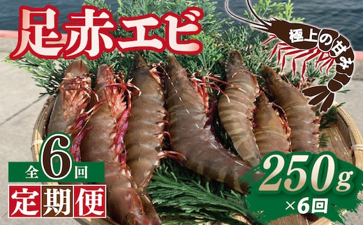 【定期便】足赤エビ 250g×全6回 計1.5kg【国産 えび 天然 ぷりぷり 海鮮 水揚げ 生食可】 099Z387