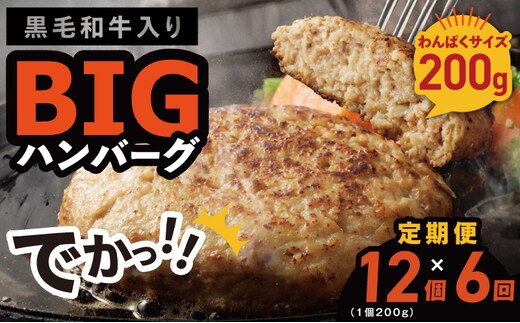 【定期便】黒毛和牛入り BIGハンバーグ（200g×12個）全6回 【毎月配送コース】 099Z413