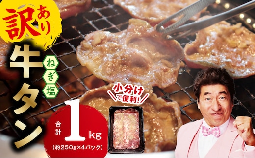 【定期便】ねぎ塩 牛たん（成型）合計 1kg 小分け 250g×4【牛タン 牛肉 焼肉用 薄切り 訳あり サイズ不揃い 2026年1月＆4月発送 全2回】 099Z431