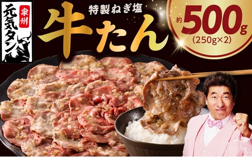 【定期便】ねぎ塩 牛たん 500g 全6回【毎月配送コース 牛タン 牛肉 焼肉用 薄切り 訳あり サイズ不揃い】 099Z458