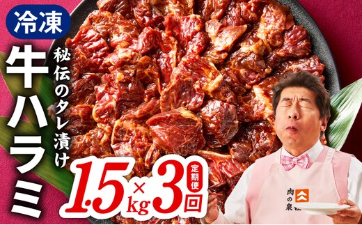 【定期便】牛ハラミ肉 1.5kg×全3回【小分け 300g×5P 秘伝の赤タレ 味付き 焼肉 訳あり サイズ不揃い】 099Z518