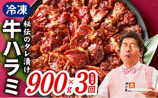 【定期便】牛ハラミ肉 900g×全3回【小分け 300g×3P 秘伝の赤タレ 味付き 焼肉 訳あり サイズ不揃い】 099Z522