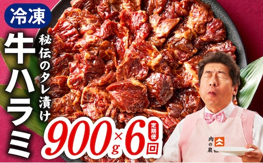 【定期便】牛ハラミ肉 900g×全6回【小分け 300g×3P 秘伝の赤タレ 味付き 焼肉 訳あり サイズ不揃い 毎月配送コース】 099Z523