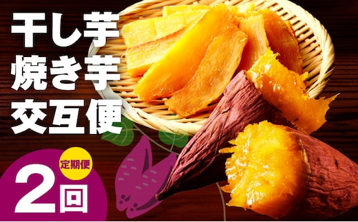 【定期便】干し芋 600g/焼き芋1kg 全2回 交互便【ほしいも 芋 いも 無添加 紅はるか 干しいも おやつ サツマイモ さつまいも】 099Z524