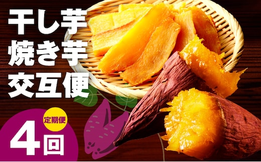 【定期便】干し芋 600g/焼き芋1kg 全4回 交互便【ほしいも 芋 いも 無添加 紅はるか 干しいも おやつ サツマイモ さつまいも】 099Z525