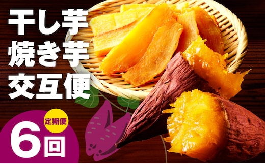 【定期便】干し芋 600g/焼き芋1kg 全6回 交互便【ほしいも 芋 いも 無添加 紅はるか 干しいも おやつ サツマイモ さつまいも】 099Z526
