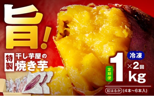 【定期便】干し芋屋の焼き芋 紅はるか約1kg 個包装4～6本入り 全2回【焼き芋 いも イモ サツマイモ さつまいも 紅はるか 冷凍 おやつ】 099Z527