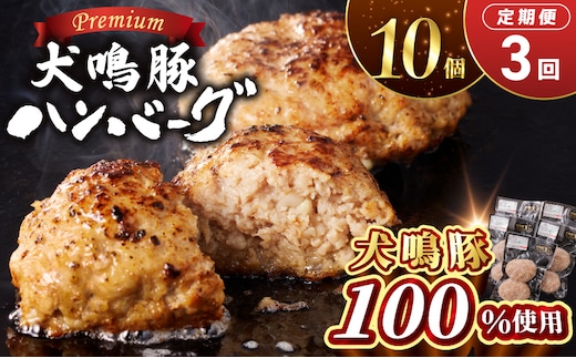 【泉佐野ブランド豚】犬鳴豚の手作りプレミアムハンバーグ（10個入り）×3回【国産 豚肉 ぶたにく 定期便 犬鳴ポーク 普段使い】 099Z552
