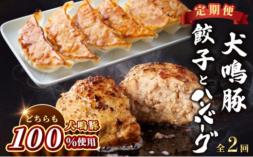 【泉佐野ブランド豚】犬鳴豚餃子 75個／手作りプレミアムハンバーグ（10個入り） 全2回【国産 豚肉 ぶたにく 定期便 食べ比べ 犬鳴ポーク 焼くだけ 人気 総菜 冷凍】 099Z558