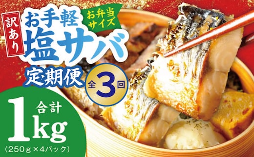 【定期便】塩さば 1kg（250g×4P）全3回【お弁当サイズ 生活応援 サバ 小分け 青魚 塩鯖 塩サバ 切身 塩焼き 焼きさば 焼き鯖 人気 冷凍 冷凍食品 おかず 惣菜 訳あり サイズ不揃い 大阪 泉佐野 大阪府 泉佐野市】 099Z576