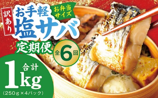 【定期便】塩さば 1kg（250g×4P）全6回【お弁当サイズ 生活応援 サバ 小分け 青魚 塩鯖 塩サバ 切身 塩焼き 焼きさば 焼き鯖 人気 冷凍 冷凍食品 おかず 惣菜 訳あり サイズ不揃い 大阪 泉佐野 大阪府 泉佐野市】 099Z577