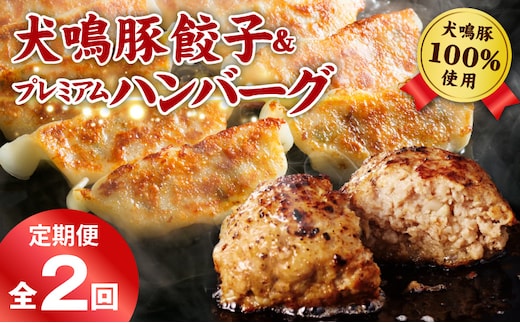 【泉佐野ブランド豚】犬鳴豚餃子 75個／手作りプレミアムハンバーグ（10個入り） 全2回【国産 豚肉 ぶたにく 定期便 食べ比べ 犬鳴ポーク 焼くだけ 人気 総菜 冷凍】 099Z592