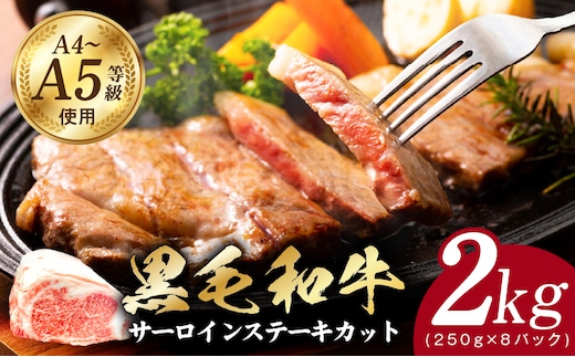 A5/A4ランク 黒毛和牛 サーロインステーキ カット 合計2kg（250g×8P）【極味付け肉】 G3643