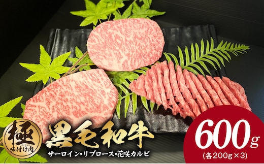 黒毛和牛 サーロイン/リブロース/花咲カルビ ステーキ 食べ比べセット 合計600g（200g×3種）【極味付け肉】 G3635