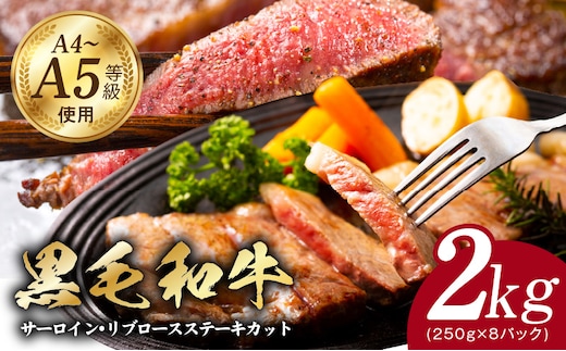 A5/A4ランク 黒毛和牛 サーロイン/リブロースステーキカット 合計2kg（各250g×4P）【極味付け肉】 G3650