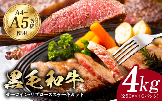 A5/A4ランク 黒毛和牛 サーロイン/リブロースステーキカット 合計4kg（各250g×8P）【極味付け肉】 G3651