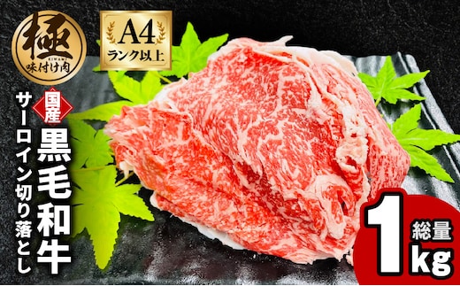 【A4ランク以上】黒毛和牛 サーロイン 切り落とし 1kg【250g×4P 小分け 国産 味付き 牛肉 訳あり サイズ不揃い】 G3655-1