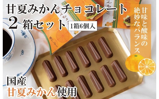 【スピード発送】甘夏みかんチョコレート 2箱セット 瀧のしずく G1084