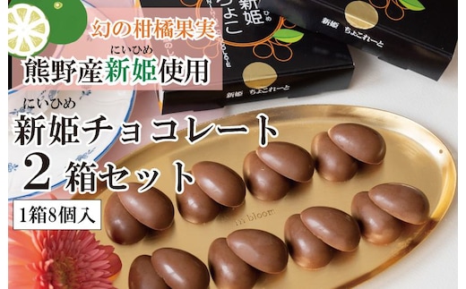 【スピード発送】新姫(にいひめ)チョコレート 2箱セット 瀧のしずく G1085
