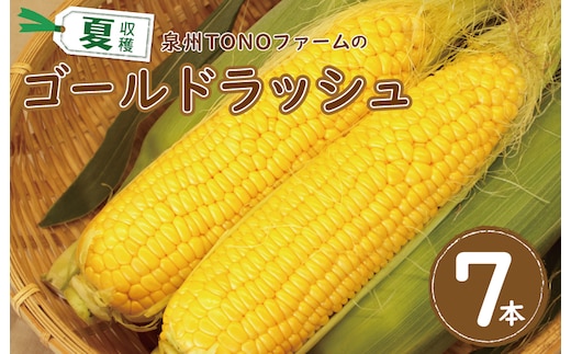 【先行予約】ゴールドラッシュ 7本【新鮮 野菜 泉佐野産 とうもろこし コーン やさい TONOファーム 高評価 数量限定】 005A060