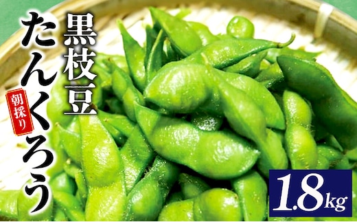 【先行予約】黒枝豆 1.8kg 【新鮮 野菜 泉佐野産 えだまめ やさい TONOファーム 高評価 数量限定 畑から直送 朝採り】 005A061