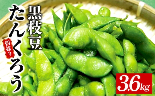 【先行予約】黒枝豆 3.6kg 【新鮮 野菜 泉佐野産 えだまめ やさい TONOファーム 高評価 数量限定 畑から直送 朝採り】 010B141