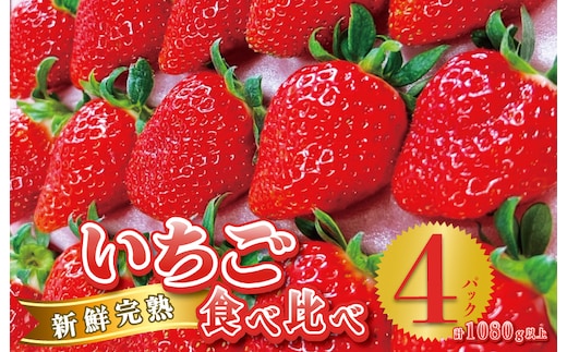 【先行予約】完熟新鮮 いちご食べ比べ 4パック 合計1080g以上 099H2855
