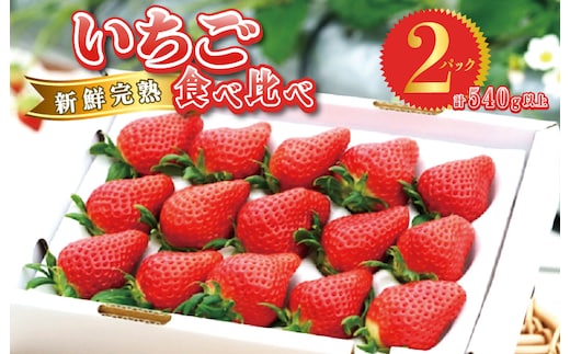 【先行予約】完熟新鮮 いちご 食べ比べ 2パック 合計540g以上 099H2854