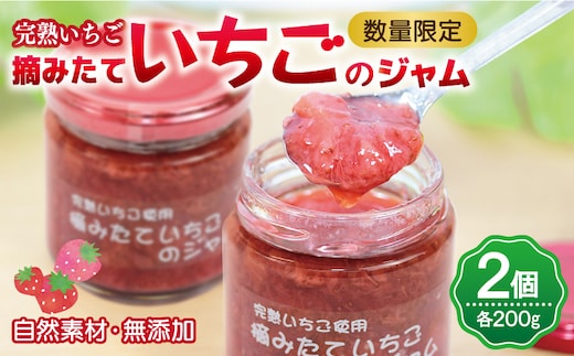 【先行予約】完熟朝摘みいちごのジャム【苺 無添加 自然素材 フルーツ イチゴ 高評価 数量限定】 005A433