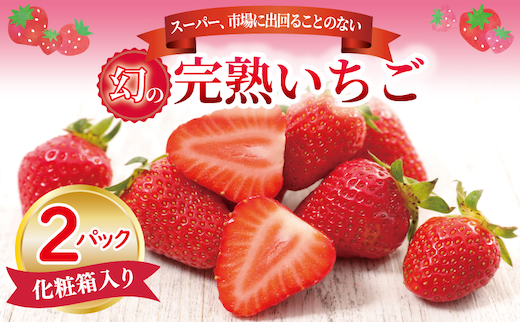 【先行予約】朝摘み 完熟いちご 2パック【化粧箱入り 苺 無添加 自然素材 フルーツ イチゴ 高評価 数量限定】 099H1970